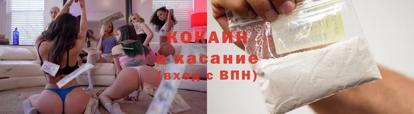ПСИЛОЦИБИНОВЫЕ ГРИБЫ Верея