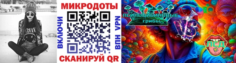 darknet состав  дарнет шоп  Гай  Псилоцибиновые грибы Psilocybe 