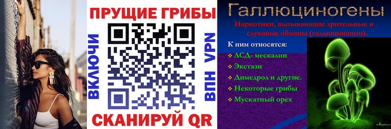 Галлюциногенные грибы MAGIC MUSHROOMS Гай